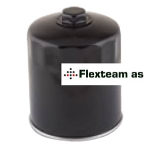 Mitsubishi truck motorolje filter FT1344