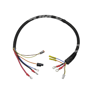1001093652 JLG cable loom lednigsett
