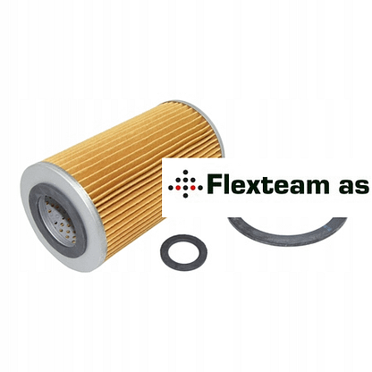Nissan truck motorolje filter